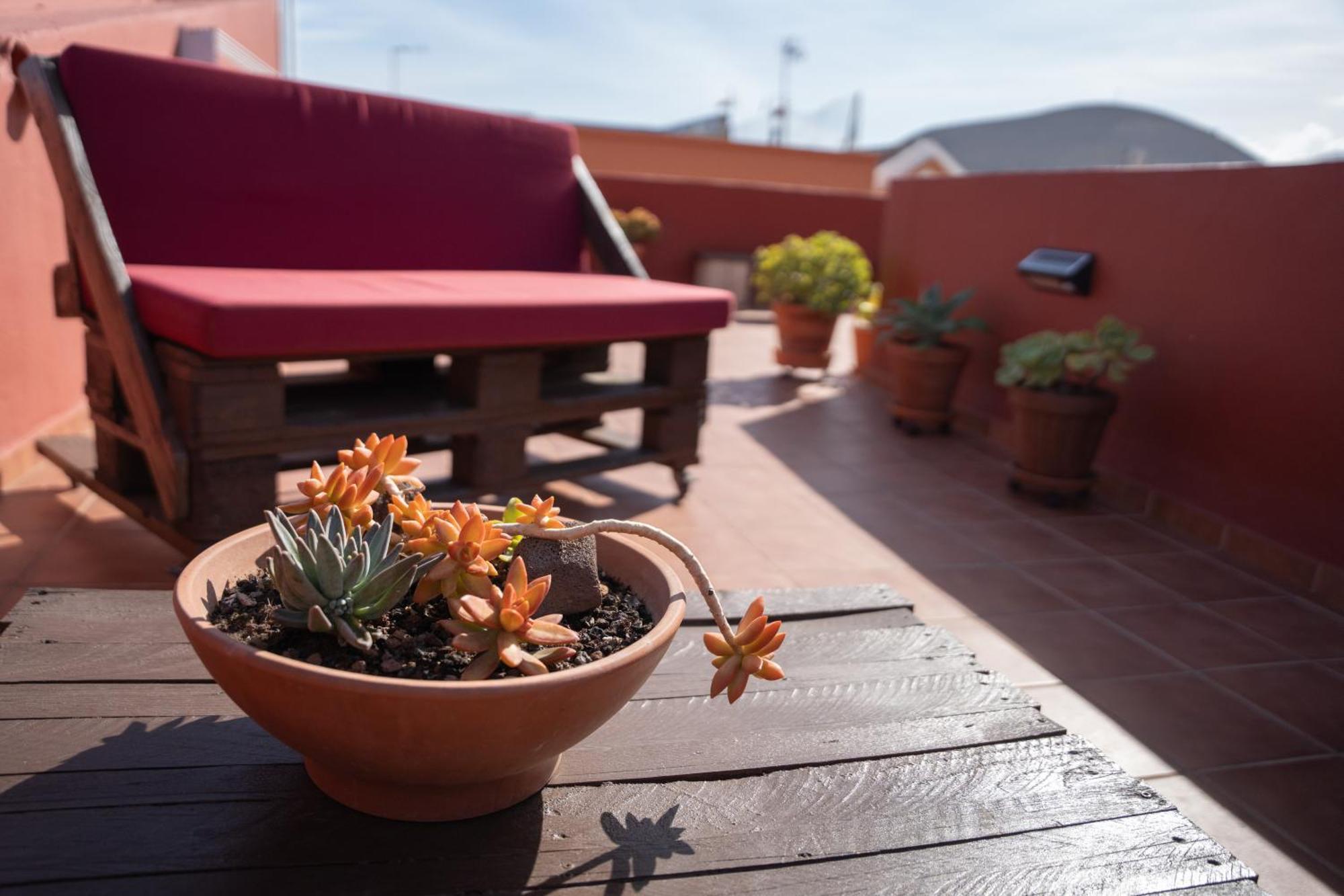 Tenohomes Rustic House With Terrace & Nature Views บูเอนาวิสตา เดล นอร์เต ภายนอก รูปภาพ